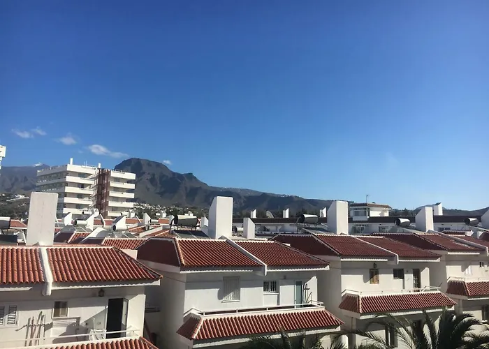 Tajinaste Playa de las Americas (Tenerife)